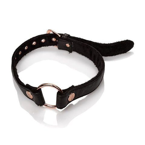 Entice Open Mouth Gag by California Exotics - Bondage Gags and Bits