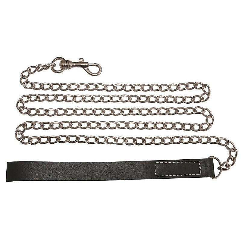 Professional Edge Chain Leash by Sportsheets - Collars and Leads