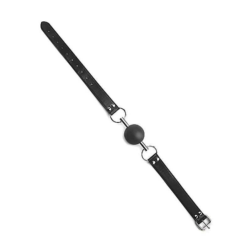 Professional Solid Ball Gag by Shots Toys - Bondage Gags and Bits