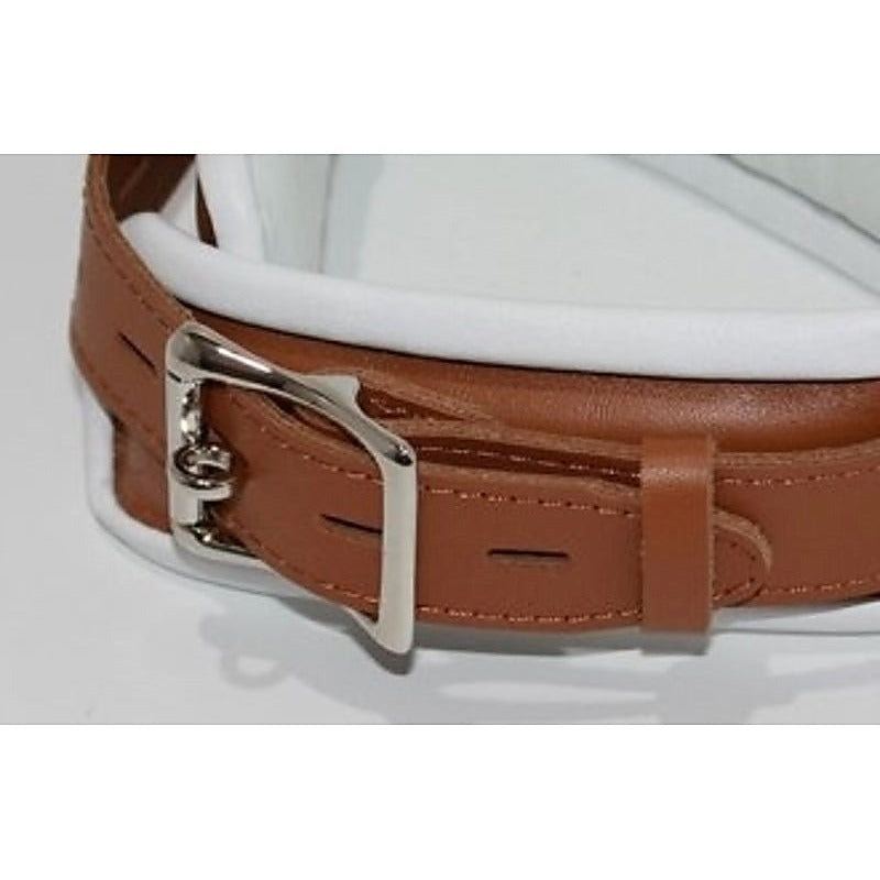 Dungeon Delights Asylum Collar Padded by BDStyle - Collars and Leads