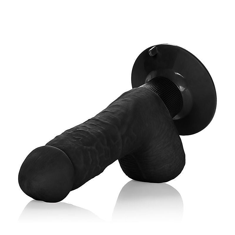 Shower Stud Ballsy Dong by California Exotics - Personal Massagers