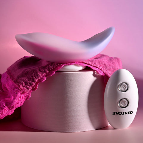 Evolved PARADISE Remote Control Panty Vibrator Pink/Purple - Remote Control Vibrators