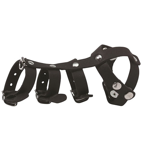 Spartacus Premium Leather Vertebrate - Elevate Your Pleasure