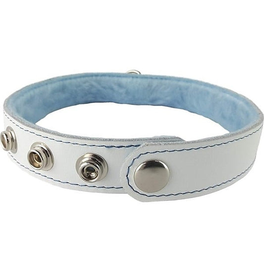 Spartacus Premium Blue Fur-Lined Leather Collar