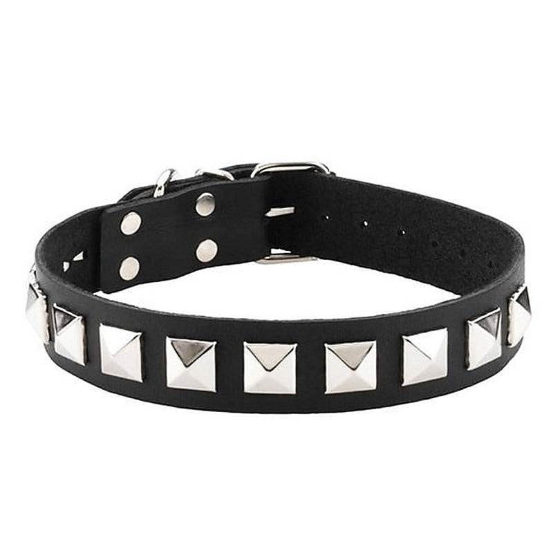Studded Single Strap D-Ring Control Collar by Spartacus - Collars and Leads