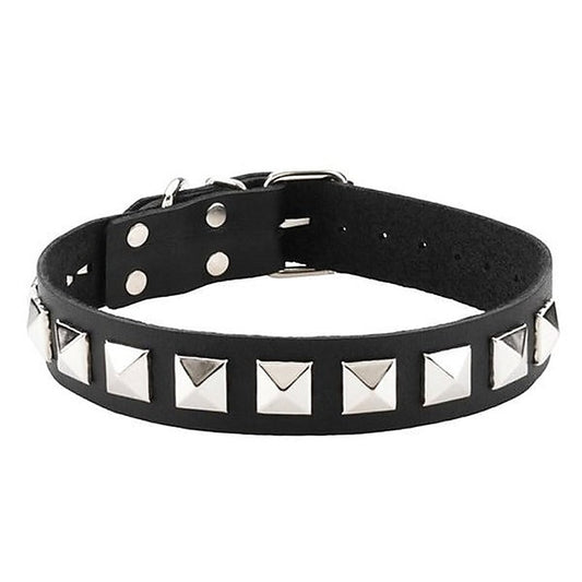 Spartacus Studded Single Strap D-Ring Control Collar