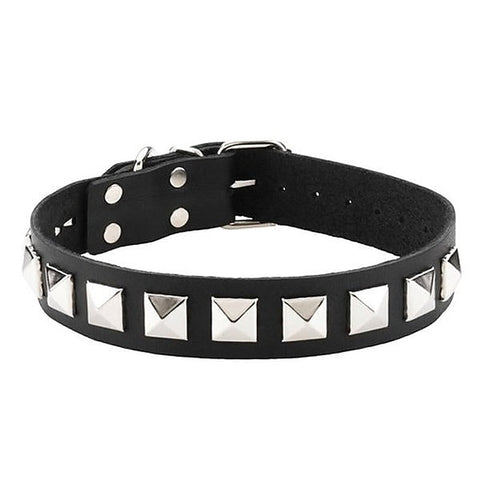 Studded Single Strap D-Ring Control Collar by Spartacus - Collars and Leads