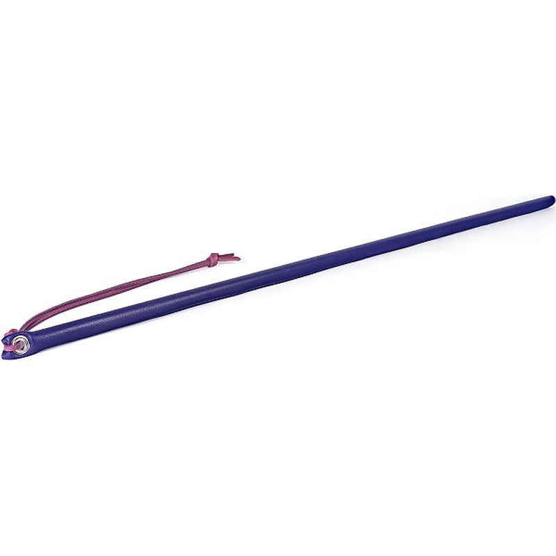 Premium Leather Wrapped Discipline Cane by Spartacus - Whips And Crops