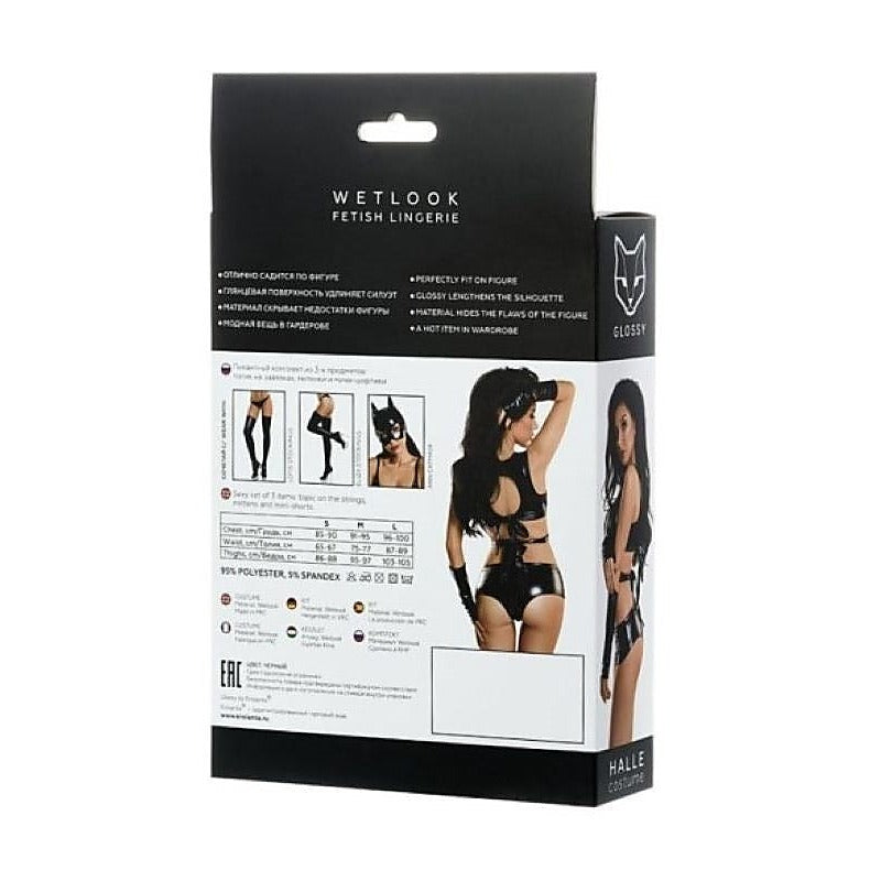 Premium Glossy Wetlook 3 Pc Halle Set by ToyFa - Bras and Bra Sets