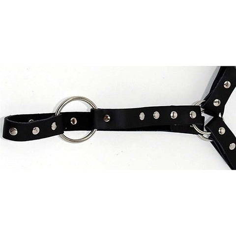 Premium Leather Waist Harness by Hell's Couture - Cuffs and Restraints