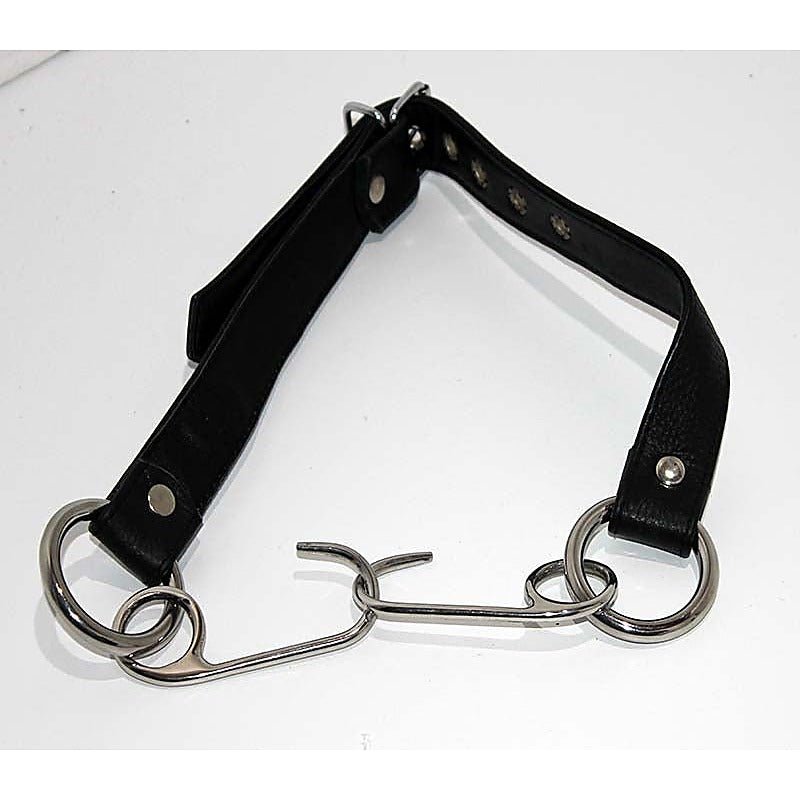 Asylum Hook Mouth Spreader Gag - Bondage Gags and Bits