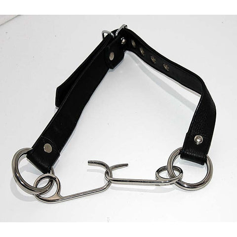 Asylum Hook Mouth Spreader Gag - Bondage Gags and Bits