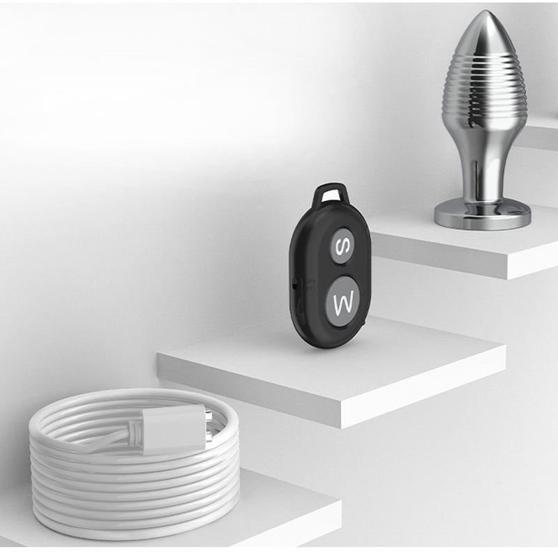 BDStyle Rechargable Remote Controlled Vibrating Steel Butt Plug Butt Plugs