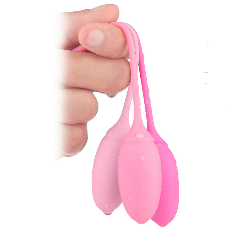 BDStyle Deluxe Kegel Exerciser System Love Eggs and Kegel Exercisers