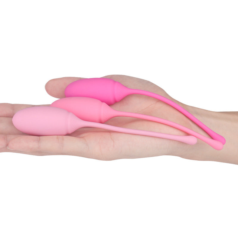 BDStyle Deluxe Kegel Exerciser System Love Eggs and Kegel Exercisers