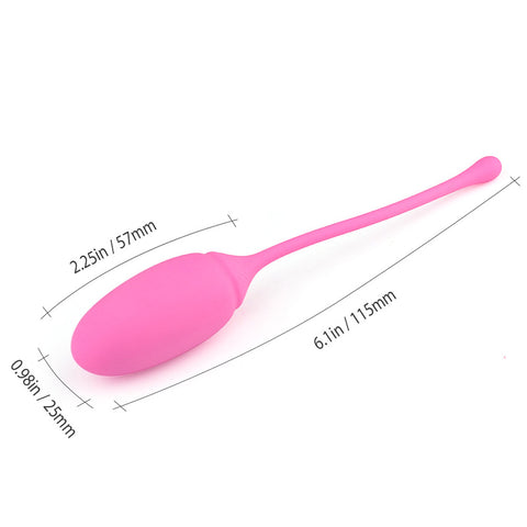 BDStyle Deluxe Kegel Exerciser System - Love Eggs and Kegel Exercisers