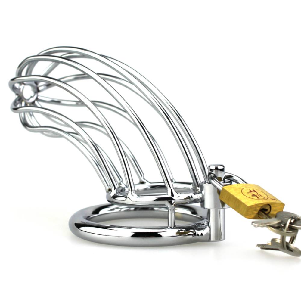 BDStyle Silver Caged Tiger Male Chastity Device Male Chastity