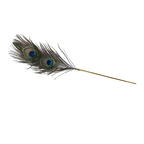 BDStyle BDSM Play Peacock Feather Tickler - Ticklers