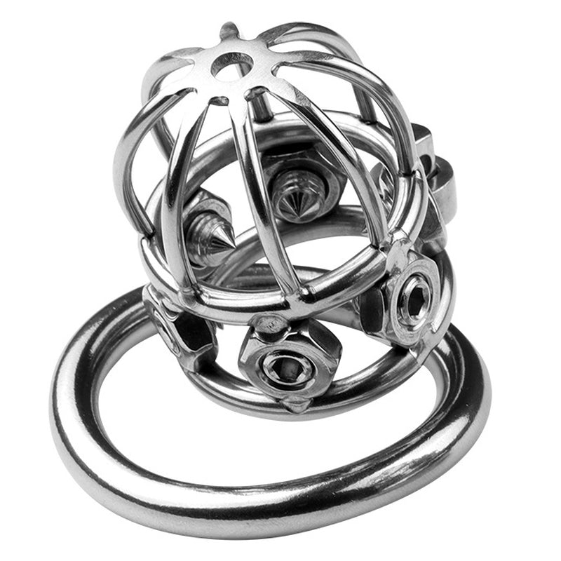 BDStyle Spike Alloy Male Chastity Cock Cage Male Chastity