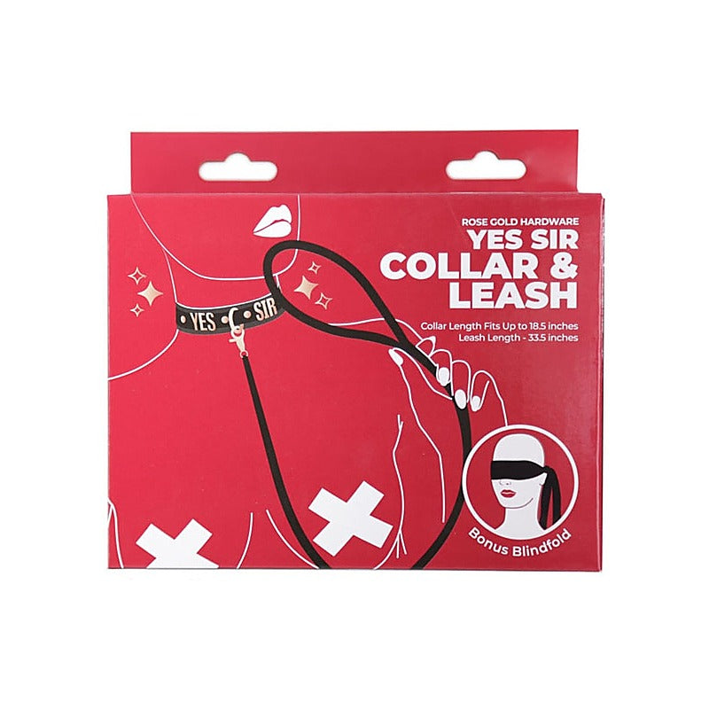 BMS Factory Punishment Rose Gold Yes Sir Collar and Leash - Collars and Leads
