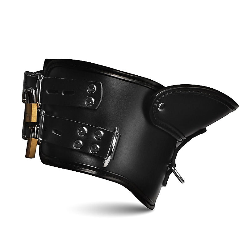 Master Series Rigid Locking Posture Collar with Chin Brace - Collars and Leads