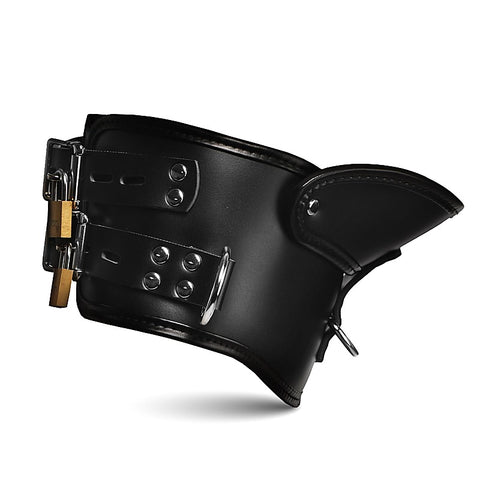 Master Series Rigid Locking Posture Collar with Chin Brace - Collars and Leads