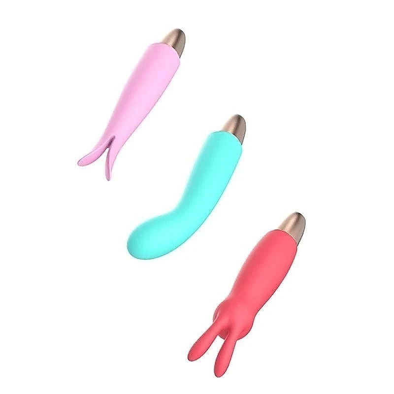 Playful Seduction USB Rechargeable Vibrator Set - Sex Kits