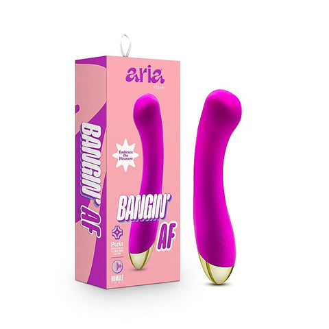 Blush Novelties Aria Bangin AF USB Rechargeable G Spot Vibrator Purple - G-Spot Vibrators