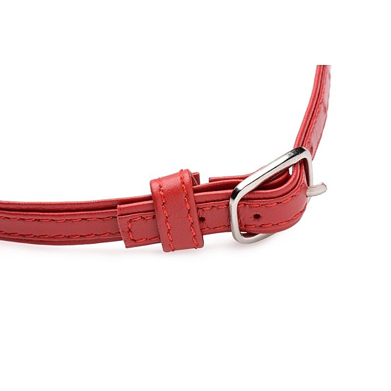Master Series Sex Pet Leather Choker by XR Brands - Collars and Leads