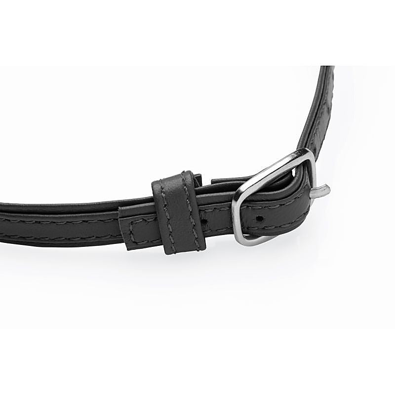 Master Series Sex Pet Leather Choker by XR Brands - Collars and Leads