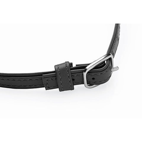 Master Series Sex Pet Leather Choker by XR Brands - Collars and Leads