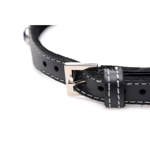 Bling Vixen Leather Choker w/ Rhinestones Collar - Collars and Leads