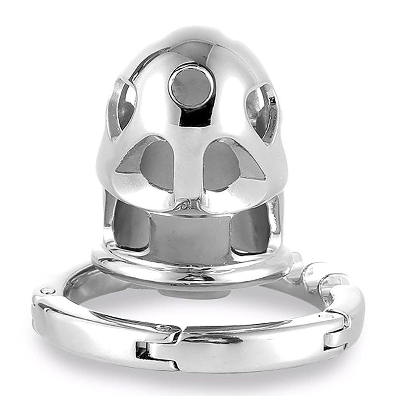 Adjustable Ring and Invisible Vertical Lock Cock Cage - Male Chastity