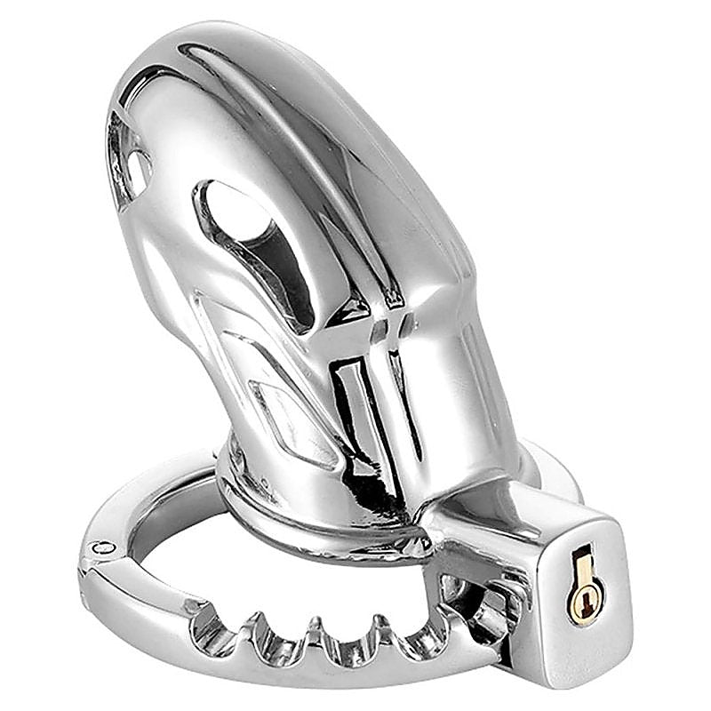 Adjustable Ring and Invisible Vertical Lock Cock Cage - Male Chastity