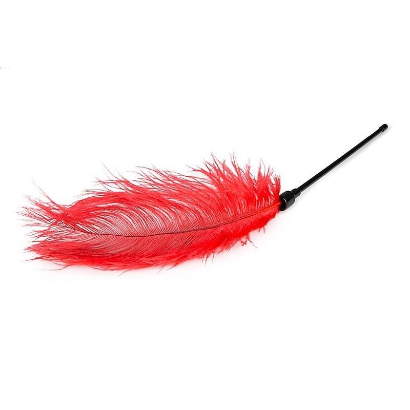 Fetish Collection Bondage Play Feather Tickler - Ticklers