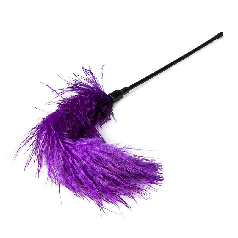 Fetish Collection Bondage Play Feather Tickler - Ticklers