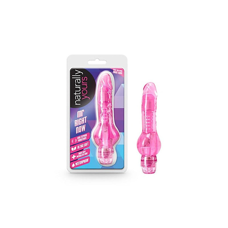 Mr Right Now Vibrating Dildo by Blush Novelties - Vibrating Dildos