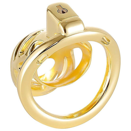 BDStyle Gold Chastity Cage Locked with 3 Active Sizes Rings - Male Chastity