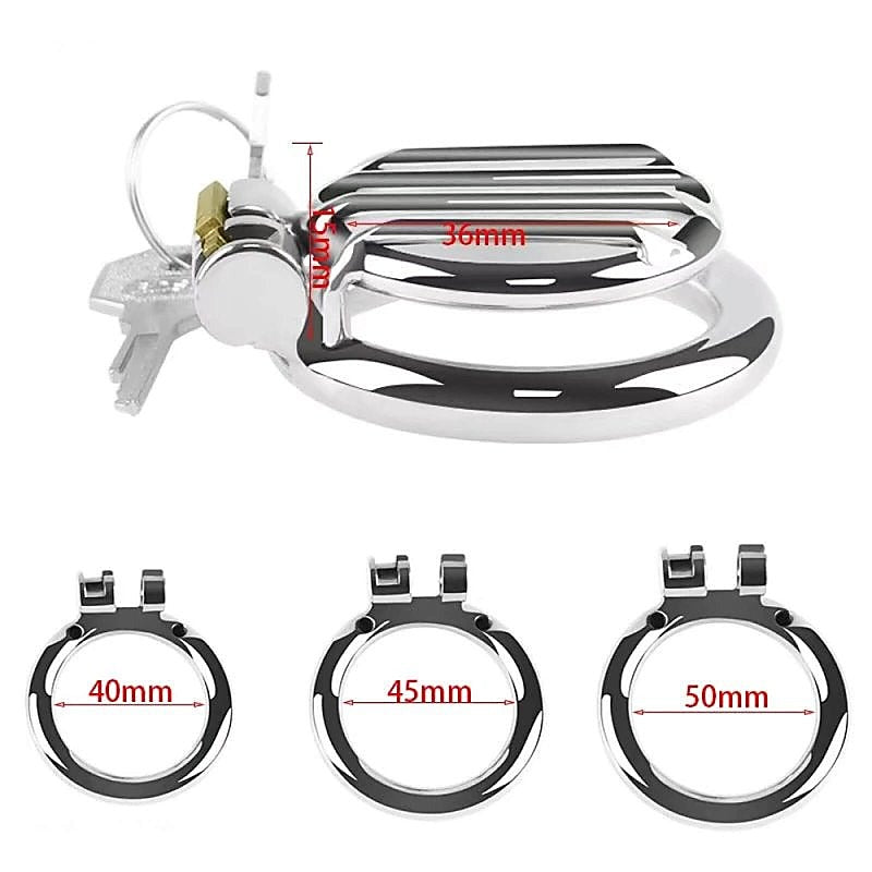 Plate Cage Male Chastity Device Large by BDStyle - Male Chastity