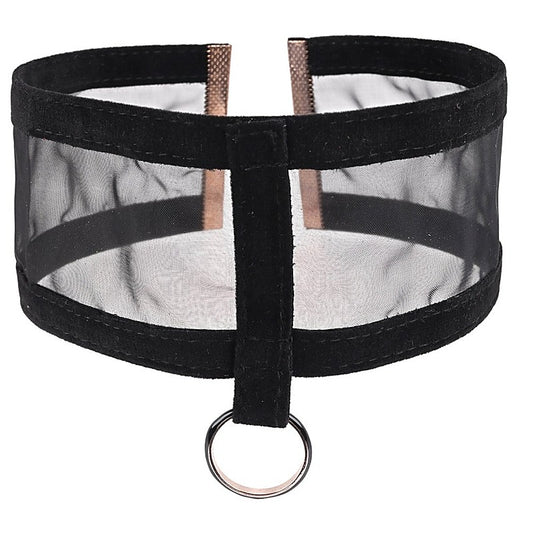 Luxurious S&M Sheer Day Collar - Discreet Sensual Wear