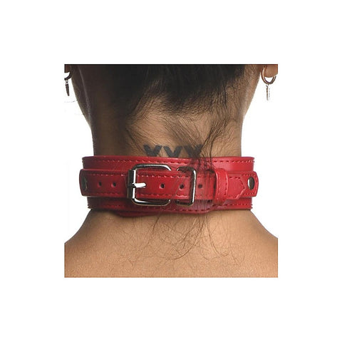 Strict Vegan Leather Female Chest Harness by XR Brands - Cuffs And Restraints