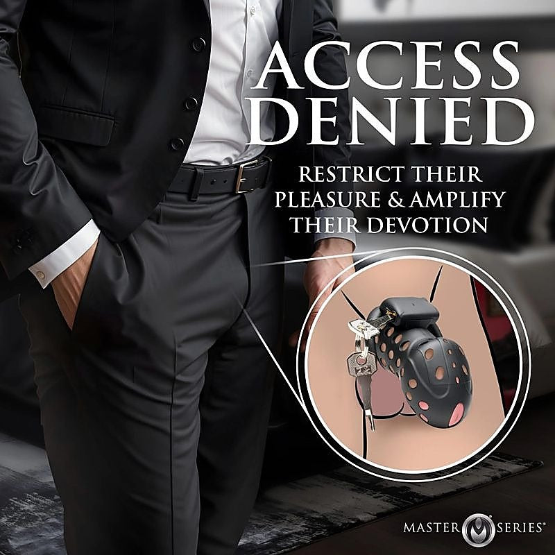 Master Series Lock Down Male Chastity Cage by XR Brands - Male Chastity