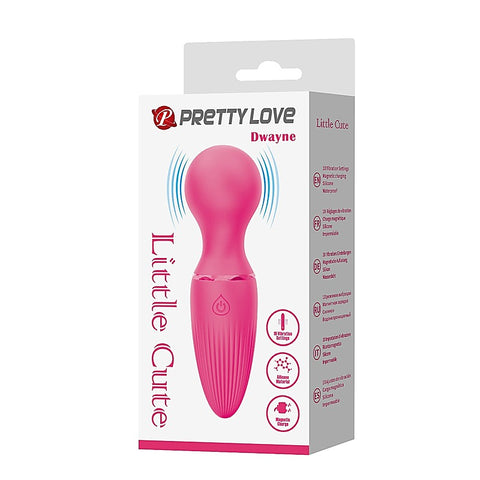Pretty Love Dwayne Mini Body Wand Massager by Baile - Body Wands