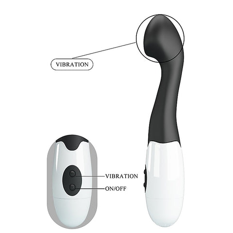 Pretty Love Charles 30 Functions G Spot Vibrator by Baile - G-Spot Vibrators