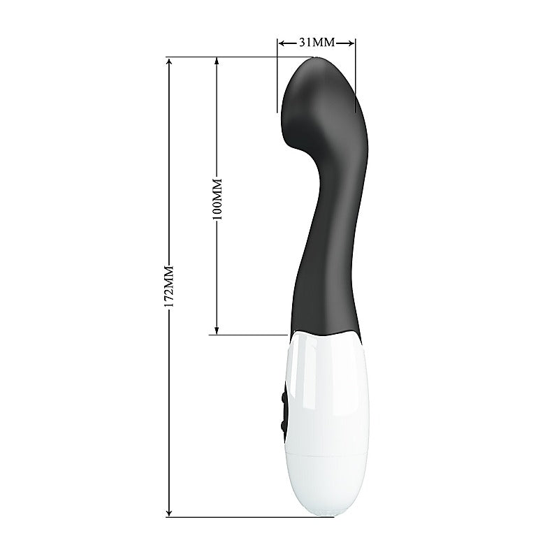 Pretty Love Charles 30 Functions G Spot Vibrator by Baile - G-Spot Vibrators