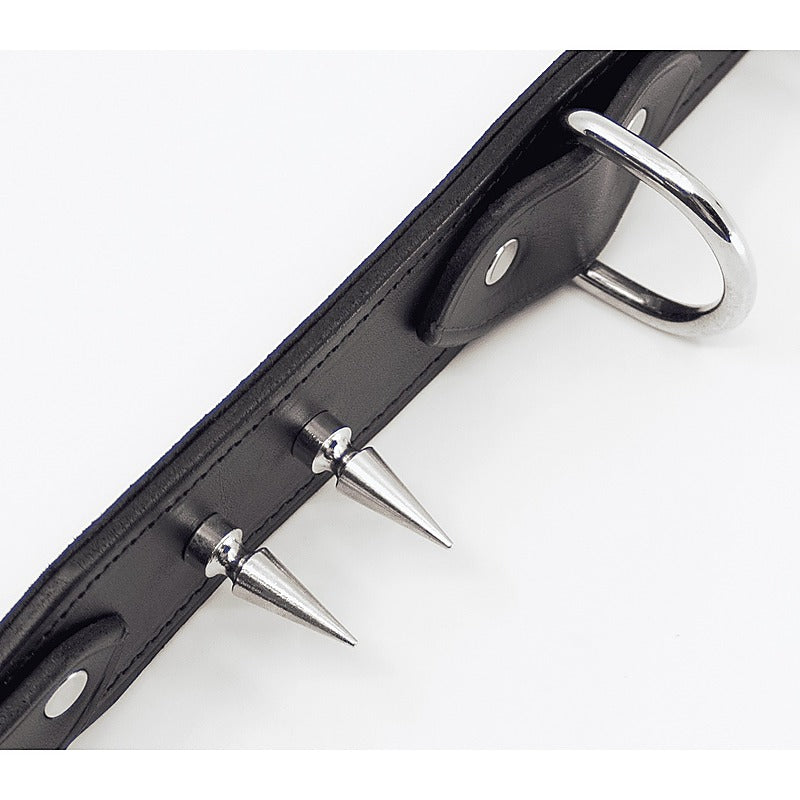 BDSM Collar With Long Spikes by Love In Leather - Collars and Leads