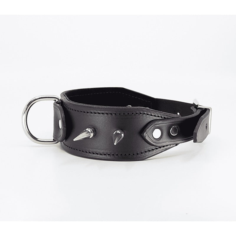 BDSM Collar With Long Spikes by Love In Leather - Collars and Leads