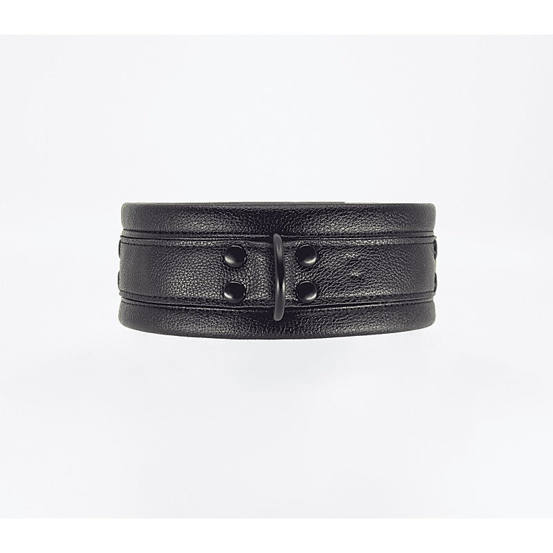 Faux Leather Collar & Lead Set by Love In Leather - Collars and Leads
