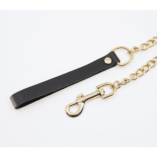 Love In Leather BDSM Chain Lead With Coloured Hardware - Collars and Leads