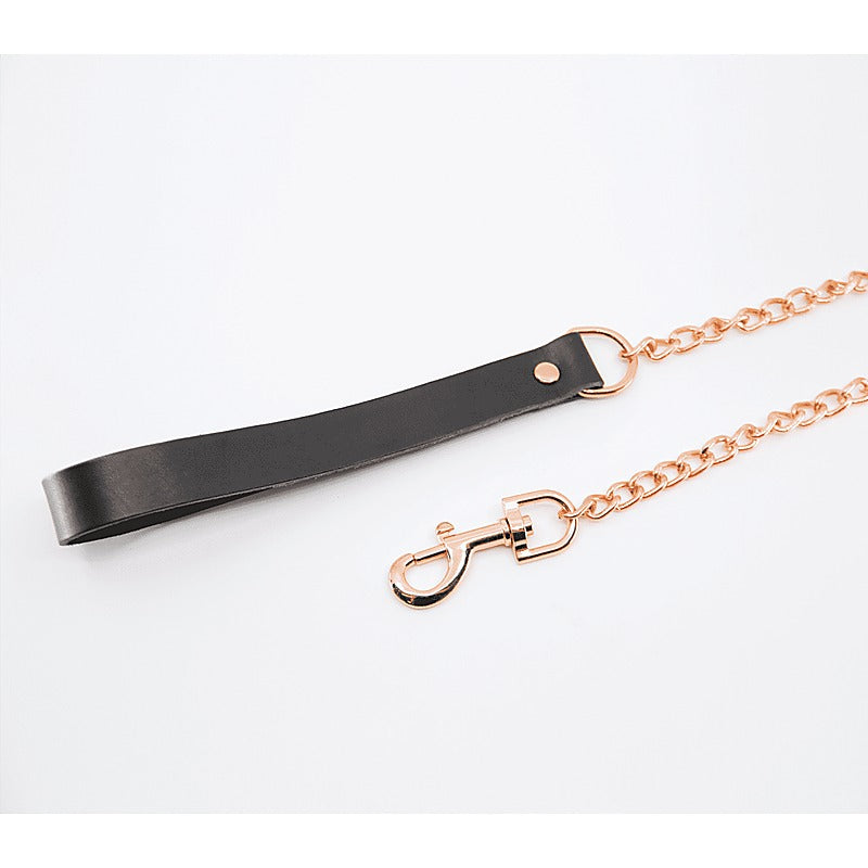 BDSM Chain Lead With Coloured Hardware by Love In Leather - Collars and Leads